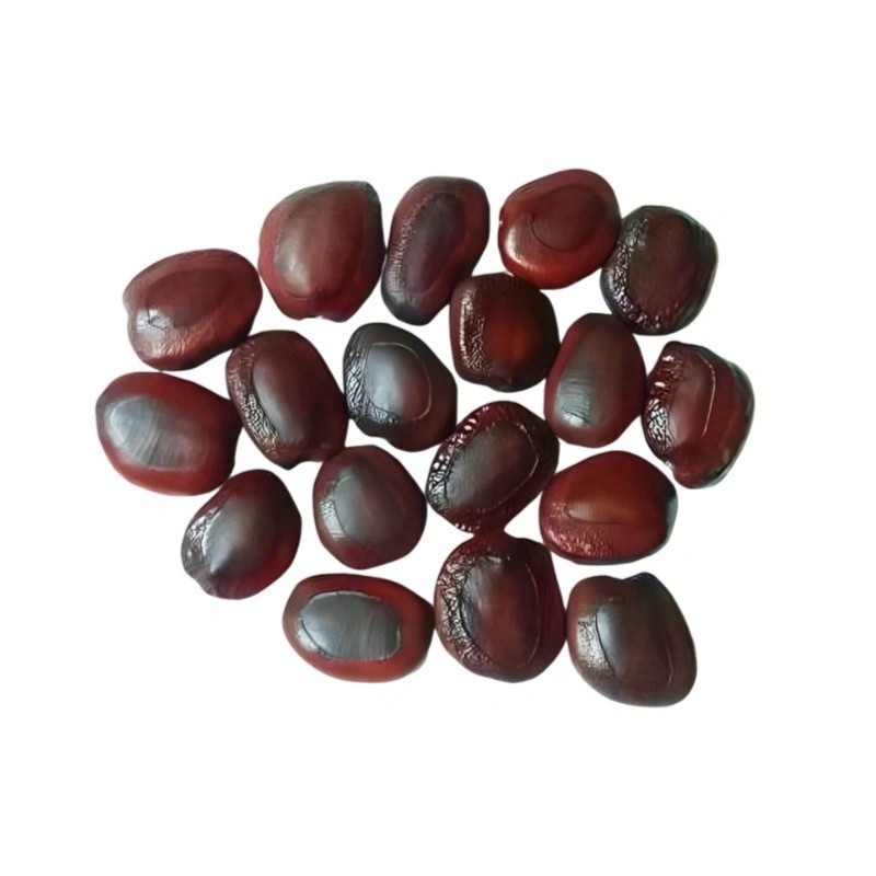 Tamarind Seed