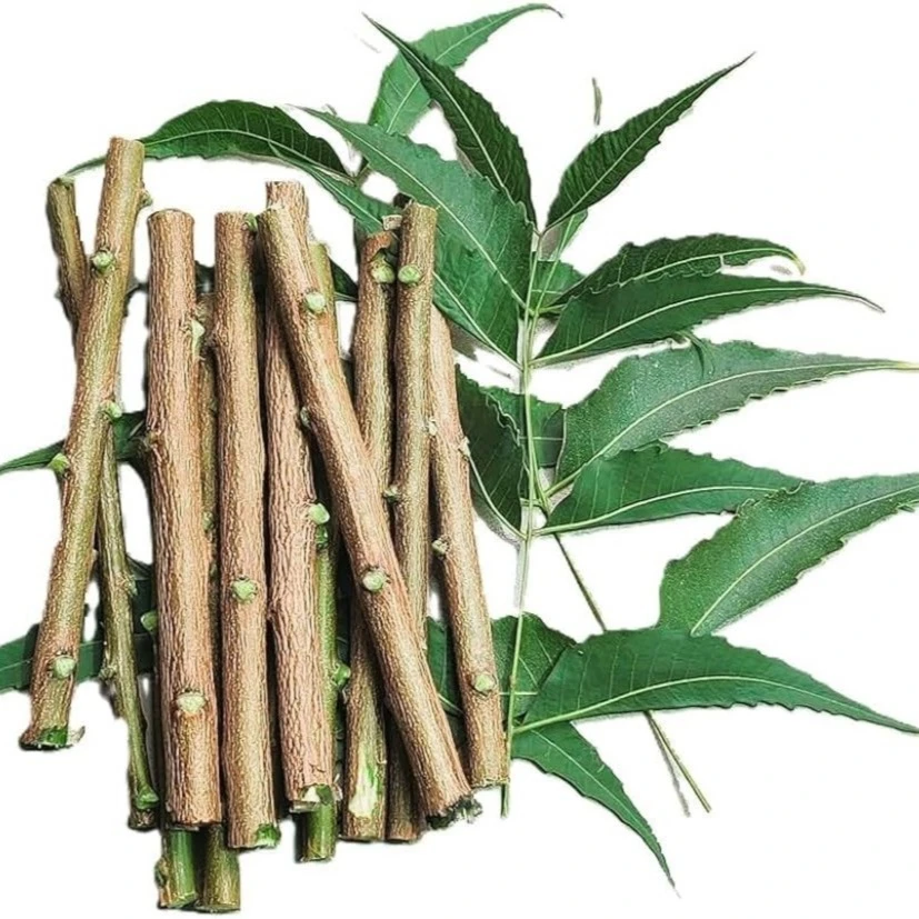 Neem Stick