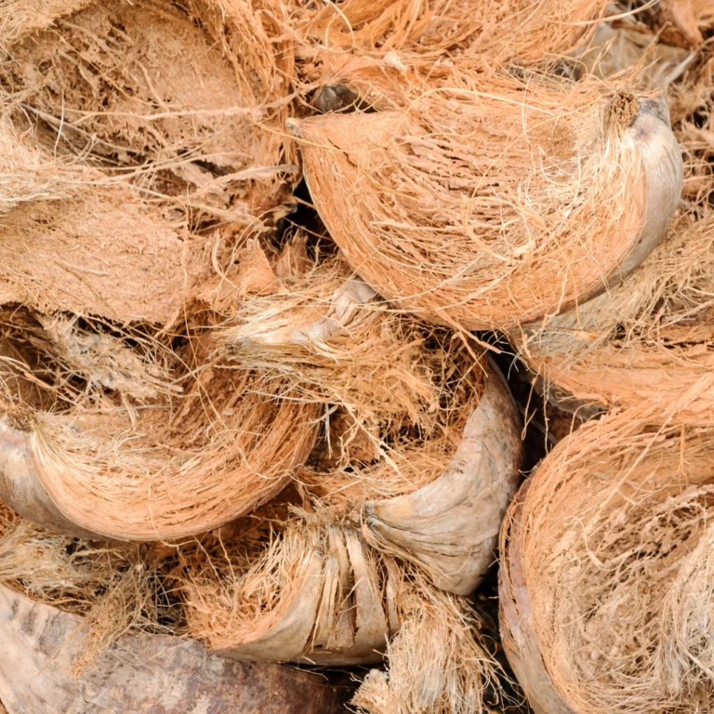 Coir